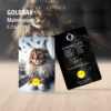Gold Coin 0.25gm – Mainecoon